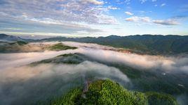 盤縣大洞竹海風景名勝區