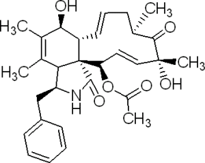 細胞鬆弛素