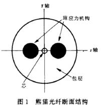 圖2 熊貓光纖斷面結構