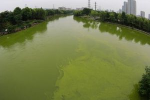 中國水環境