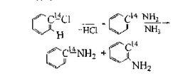 苯胺的取代反應