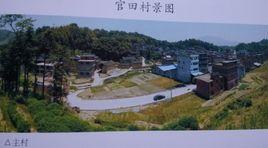 官田村[福建省寧德市壽寧縣鳳陽鎮官田村]