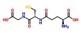 還原型谷胱甘肽 還原型谷胱甘肽