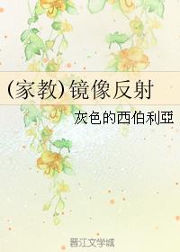 鏡像反射[灰色的西伯利亞所著小說]