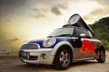 Red Bull Wings Team