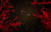 9.雙尾彗星鹿林