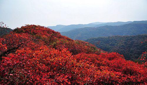 韓城市香山