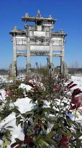 九峰村[安徽省涇縣黃村鎮九峰村]