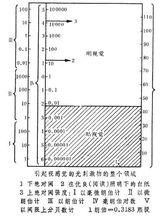 感受性