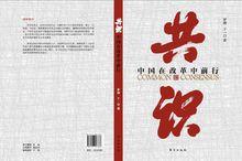 共識[羅曉、於一編著圖書]