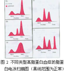 蛋白血症