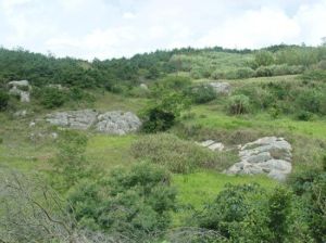 鄭成功校場遺址