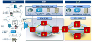 城域OTN網路