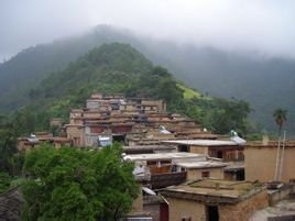 東尼吉村