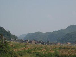 西洛村[雲南省文山州廣南縣舊莫鄉下轄村]