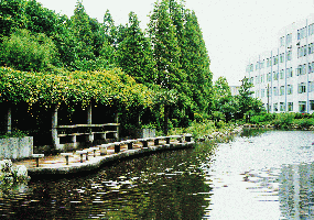 上海城市管理職業技術學院