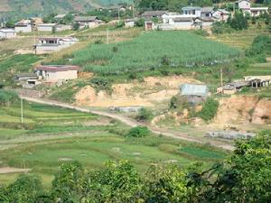 和平村自然村