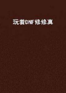 玩著DNF修修真