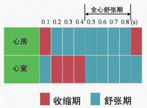 心動周期示意圖