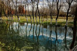 昆明市撈魚河濕地公園