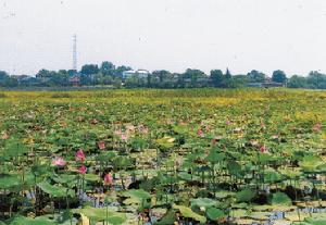 沙湖山管理處