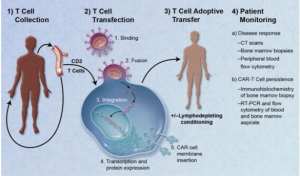 CAR-T細胞腫瘤治療流程 