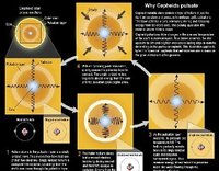 造父變星