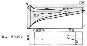 河口生態