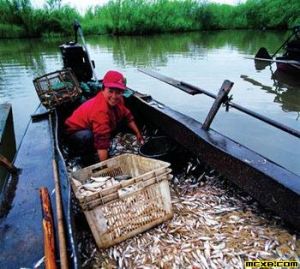 興凱湖和小興凱湖濕地