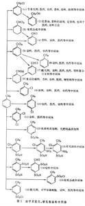 甲苯系中間體