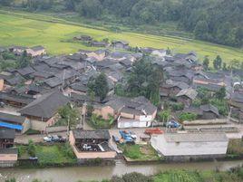 箐口村[雲南省保山市騰衝市猴橋鎮箐口村]