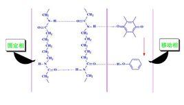 聚醯胺柱色譜法