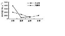 扇貝消化腺PSP含量變化