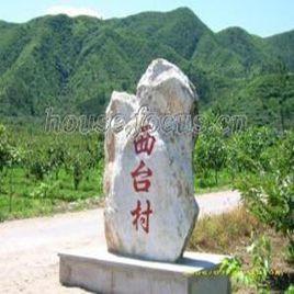 西台村[山東省寧陽縣堽城鎮西台村]