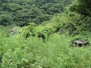 “雙龍院”遺址