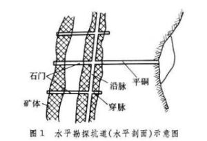 藥用植物蒔蘿立枯病