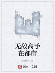 無敵高手在都市[起點網小說]