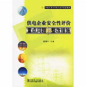 供電企業安全性評價重點問題和整改措施