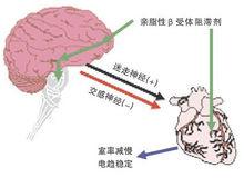 交感風暴