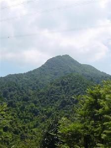 東華寺