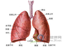 肺栓塞和肺梗死