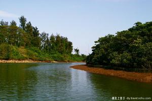 紅樹林海岸