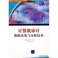 計算機審計數據採集與分析技術