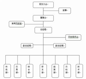 公司的組織結構