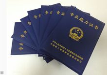 PAT對外漢語教師資格證