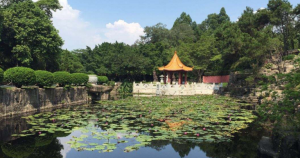 三水森林公園