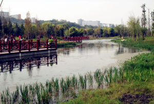 十里河濕地森林公園