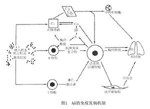 變應性肉芽腫