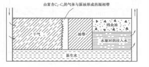 圖1 乾氣混相驅