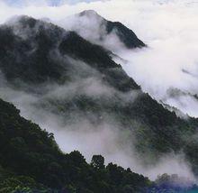 梅州雁南飛茶田度假村